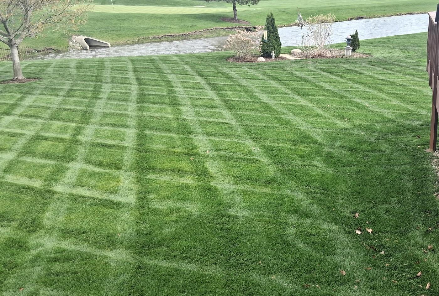 Lawn Maintenance